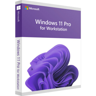Windows 11 Pro for workstation key License digital ESD instant delivery