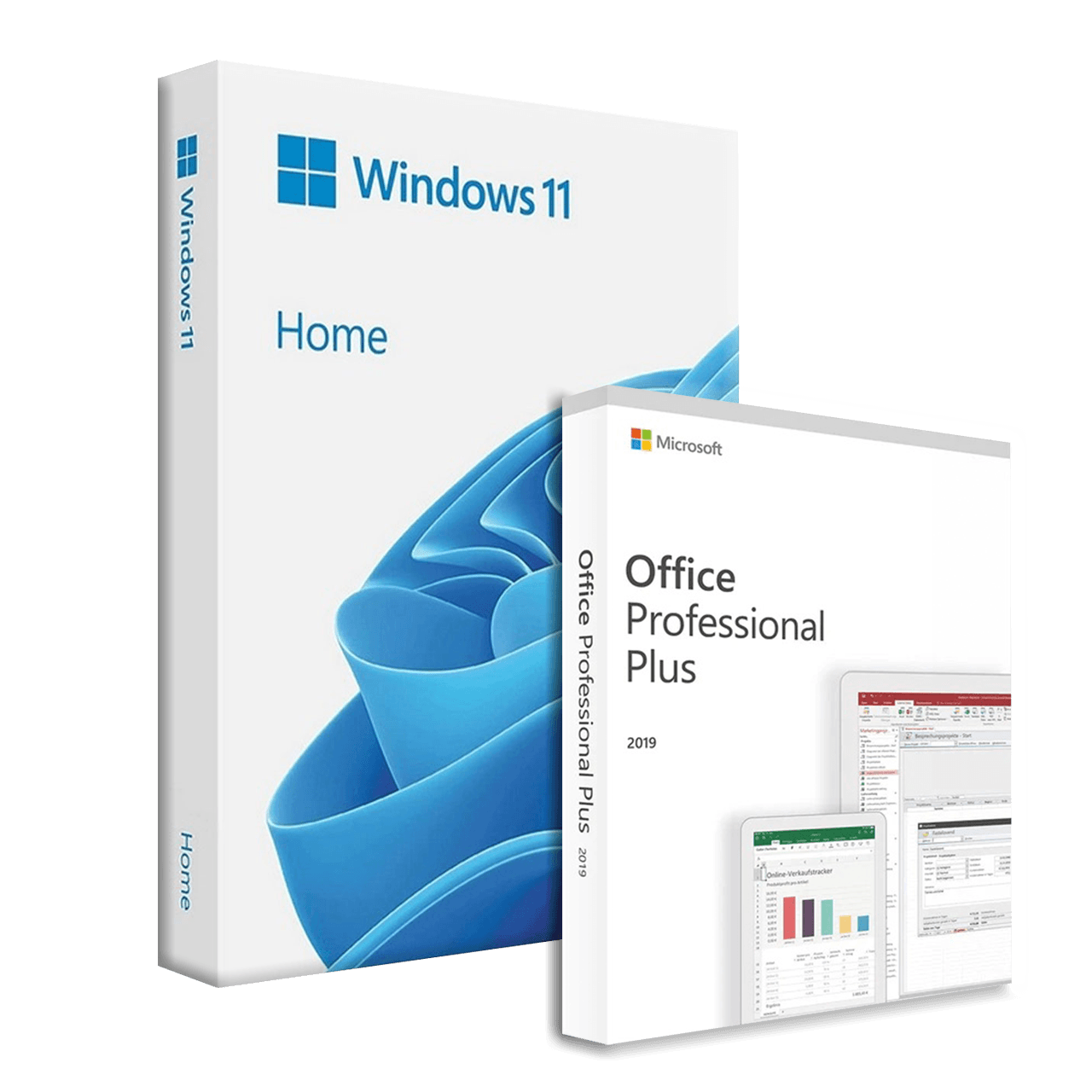 Microsoft Windows 11 Home + Microsoft Office 2019 Professional Plus Bundle
