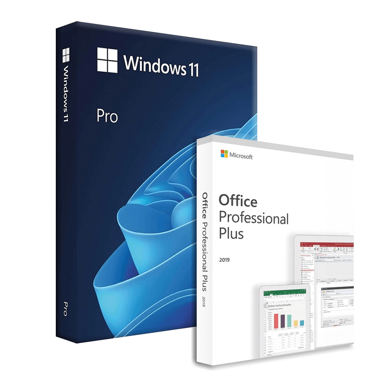 Microsoft Windows 11 Professional + Microsoft Office 2019 Professional Plus Bundle